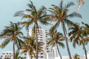 Jewish Community Resources in North Miami & Aventura – Temple Sinai